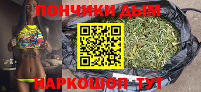 сатива Славгород