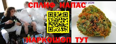 крисы Славянск-на-Кубани
