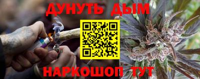 крисы Славянск-на-Кубани